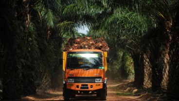 Harga CPO Naik, Austindo Nusantara Jaya (ANJT) Genjot Penjualan