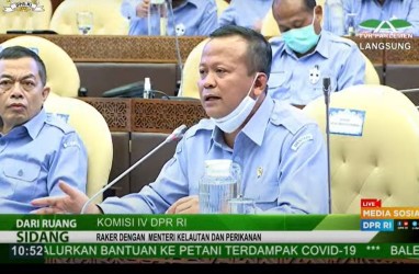 Aturan Cantrang, KKP Berupaya Akomodir Kebutuhan Semua Nelayan