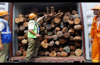 Penyelundupan Kayu Ilegal, KLHK Endus Pemalsuan Surat Sah Hasil Hutan