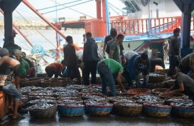 Logistik Perikanan, Potensial tetapi Banyak Tantangan