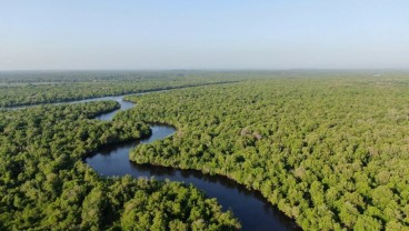 Riau Segera Miliki Desain Restorasi Ekosistem Mangrove