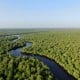 Riau Segera Miliki Desain Restorasi Ekosistem Mangrove