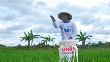 Sumsel Risau, Sebagian Luas Sawah Belum Terdata Pusat