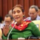 Susi Pudjiastuti: Dulu Nelayan Jual Lobster Dapat Rp70.000, Sekarang Bibit Cuma Rp7.000