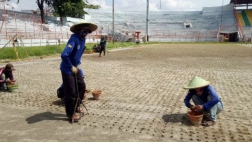 Mantap, Rumput Stadion Gelora 10 November Sudah Standar FIFA