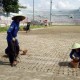 Mantap, Rumput Stadion Gelora 10 November Sudah Standar FIFA