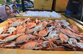 Lampung Giatkan Restocking Ikan-ikan Endemik di Sungai & Embung