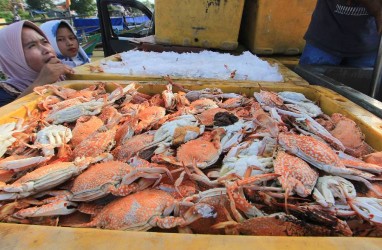 Lampung Giatkan Restocking Ikan-ikan Endemik di Sungai & Embung