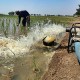 Saluran Irigasi Lhok Guci Mengairi Sawah Mulai Oktober Mendatang