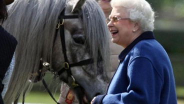 Aneka Hewan Peliharaan Milik Ratu Elizabeth II