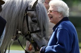 Aneka Hewan Peliharaan Milik Ratu Elizabeth II