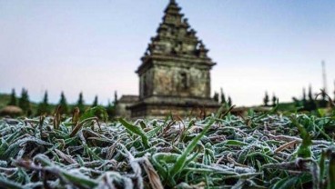 Suhu Hari Ini Terasa Lebih Dingin, Embun Es Muncul di Dieng 