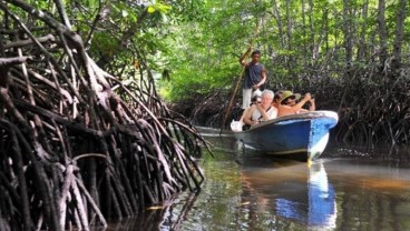 Siti Nurbaya Tinjau Wisata Edukasi Hutan Bakau Munjang Kurau Barat