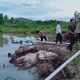 Penambangan Pasir Ilegal di Bintan Ditertibkan