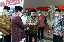 Jokowi Serahkan Sapi Kurban Seberat 1 Ton ke Masjid Istiqlal