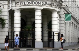 Volume Penjualan London Sumatra (LSIP) Turun 15,7 Persen