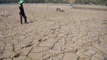 3 Wilayah Alami Kekeringan Ekstrim di Jateng. Ini Lokasinya