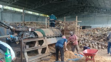 Banyuasin Tingkatkan Nilai Tambah Komoditas Kelapa