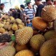 Sertifikasi Durian Super Tembaga Klamunod dari Babel Dipercepat