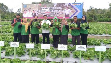 Warga Bangka Tengah Didorong Kembangkan Agrowisata