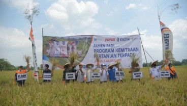 Kemitraan Pupuk Kaltim Gandakan Produktivitas Lahan Padi Jember