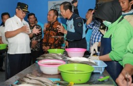 Pemprov Kaltara Rancang Gudang Beku Perikanan