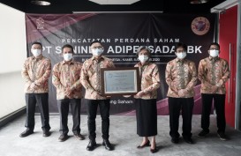 Sunindo Adipersada (TOYS) Resmi IPO, Dana untuk Modal Kerja