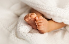 Marak Pembuangan Bayi di Sleman, Pakar: Indekos Bebas Perlu Diatur