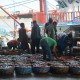 KKP Gelontorkan Rp474,9 Miliar untuk Pemulihan Sektor Perikanan