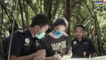 Bea Cukai Bitung Kawal Repatriasi Satwa Langka Asal Indonesia Dari Filipina