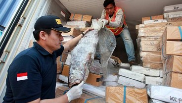 KKP dan Polri Gagalkan Penyelundupan 54,9 Ton Ikan Patin Senilai Rp2,7 Miliar