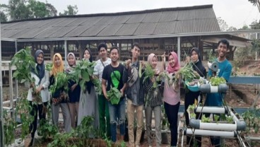 Pria Ini Sukses Jadikan Bisnis Pertanian Naik Kelas Melalui Teman Berkebun