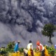 Ratusan Hektare Tanaman Kentang di Karo Hancur Akibat Erupsi Sinabung