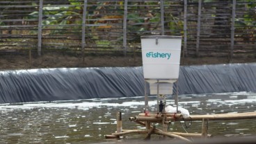 Raih Pendanaan, eFishery Berencana Ekspansi ke Seluruh Indonesia