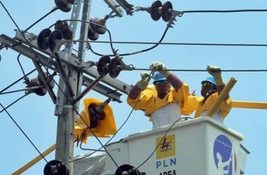 Pohon Jadi Tantangan PLN Jaga Distribusi Listrik di Kaltim