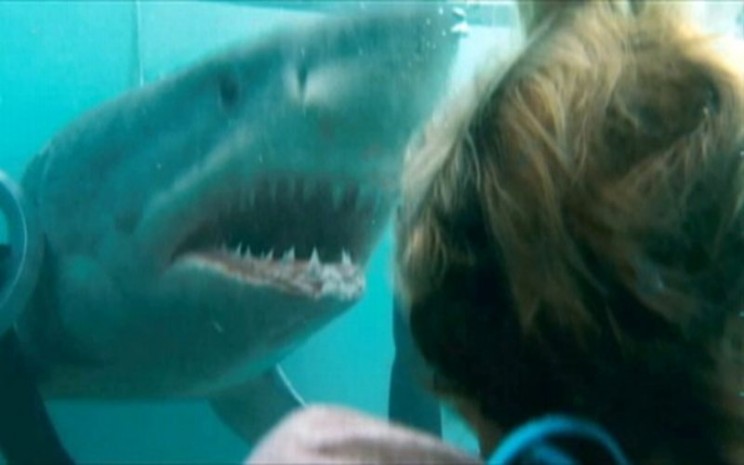Menegangkan, Film Shark Night Tayang Malam Ini di Trans TV