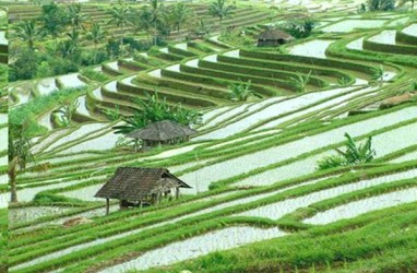 Kemendagri Menggandeng Youtuber untuk Mempromosikan Pariwisata Bali