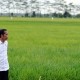 Jokowi Tegaskan Food Estate untuk Perkuat Cadangan Pangan Nasional