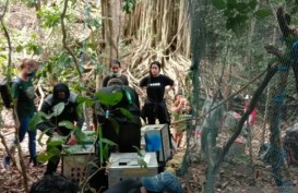 Kera Topeng Moyet Dilepasliarkan di Pulau Nusa Barong