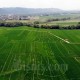 GIMNI Usul 2 Lokasi Baru sebagai Kawasan Food Estate, Daerah Mana?