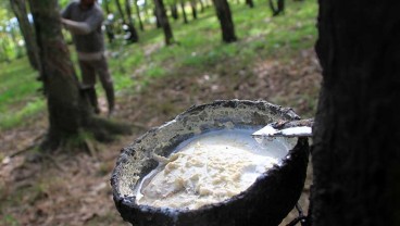 Harga Karet Petani di Riau Terkerek Tren Pasar Dunia