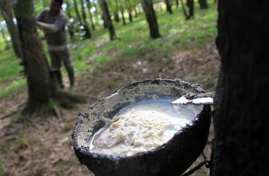 Harga Karet Petani di Riau Terkerek Tren Pasar Dunia