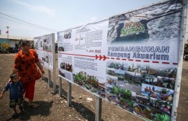 Kampung Akuarium Masuk Garis Merah, Kok Bisa Dibangun Permukiman?