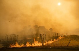 Kebakaran Hutan Skala Besar Tambah Beban Krisis di California