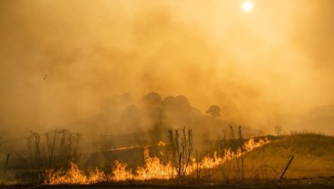 Kebakaran Hutan Skala Besar Tambah Beban Krisis di California