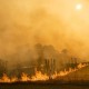 Kebakaran Hutan Skala Besar Tambah Beban Krisis di California