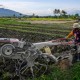 Asuransi Pertanian Penting untuk Lindungi Petani di Daerah Rawan Bencana
