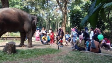 Libur Panjang, Kebun Binatang Bandung Diserbu Wisatawan