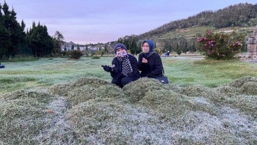 Dieng Culture Festival Bakal Digelar, Kemasannya Berbeda