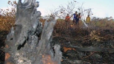 Cegah Karhutla, BNPB Terjunkan 6.000 Personel di 6 Provinsi